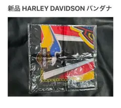 Item thumbnail for item 5d8c08da-7160-46cf-a038-e289180fe614