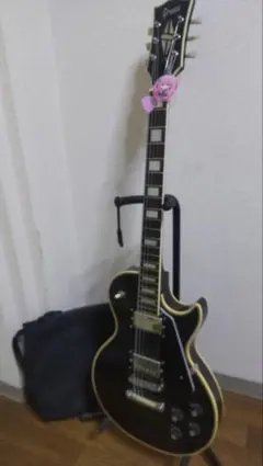 Aria ProⅡ WD-35 DOVE コピー マツモク製 ジャパンビンテージ - メルカリ