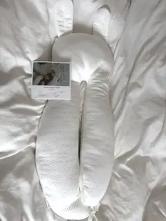 Item thumbnail for item ef059bac-4fd1-4f08-a7b8-7b60d43362c7