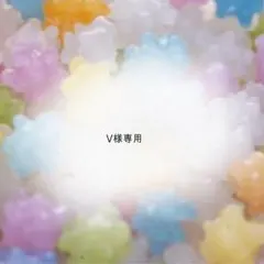 V様専用ページのサムネイル
