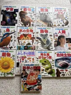【美品】小学館の図鑑NEO 動物・植物・昆虫・魚・鳥・宇宙・星座・花・野菜　9冊 美品】小学館の図鑑NEO 動物・植物・昆虫・魚・鳥・宇宙・星座・花