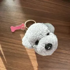 Item thumbnail for item 9315f346-0a64-45d8-a636-3edf1f80fd47