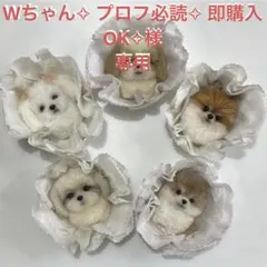 Wちゃん✧ プロフ必読✧ 即購入OK✧様専用