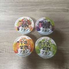 スクイーズ 水系 レア ごろっと果物ゼリー 牛乳果物プリン セット