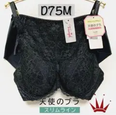 D75M トリンプ 天使のブラ スリムライン542 ブラ＆ショーツ Black