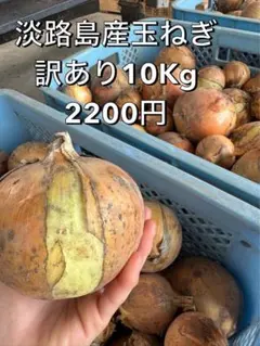 淡路島産訳あり玉ねぎ 10Kg 2200円のサムネイル