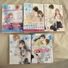 野いちご文庫　５冊セットまとめ売り