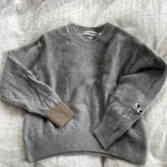 アニヤハインドマーチ ニット