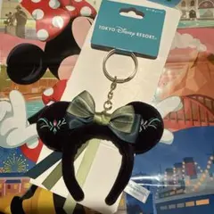 東京ディズニーリゾート アナ雪キーホルダー