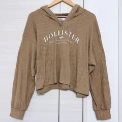 HOLLISTER レディース ベージュ パーカー L ワッフル　春