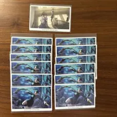 呪術廻戦 呪術廻戦0 幻影夜行カード 禪院真希