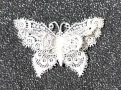 レースブローチ　ホワイト　蝶　ケース付