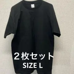 Item thumbnail for item 2b58db06-08be-47b7-bcea-b84f1bce5735