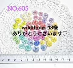 wildthings-18様 リクエスト 2点 まとめ商品