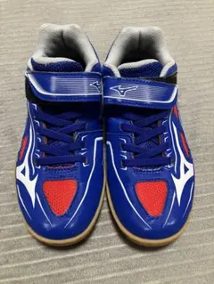 Mizuno 卓球用シューズ 20cm キッズ　男の子用