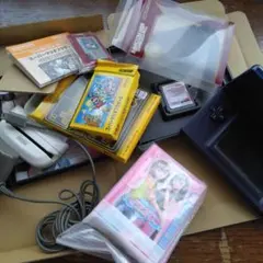 任天堂DS Lite ゲームソフト　ラブ and ベリー