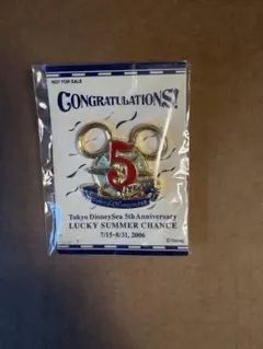 非売品☆ ディズニーシー ピンズ 5周年