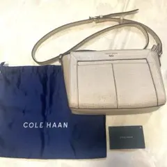 本日限定特価　COLE HAAN ショルダーバッグ ゴールド
