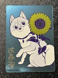 ナツコミ　シバつき物件　メタキラカード ジャンプ
