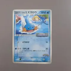 ポケモンカード ミズゴロウ