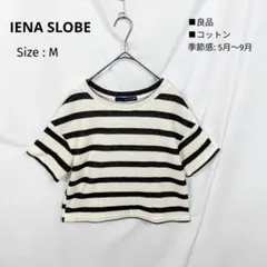 IENA SLOBE ボーダー クロップド カットソー M 良品 半袖 コットンのサムネイル