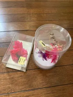 Item thumbnail for item 04c335d3-ee1f-4ada-8abe-6fef52e36346