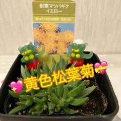 ゆーりん様 リクエスト 2点 まとめ商品