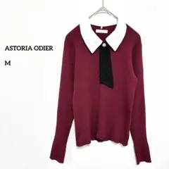 【美品】ASTORIA ODIER ボルドー リブ ボウタイニット M e506のサムネイル
