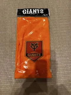 Item thumbnail for item 232883f2-516a-47f3-a951-320501f70d22