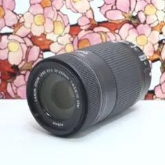 Item thumbnail for item 3b2f5dca-9e93-4e09-b487-0f040d30371e