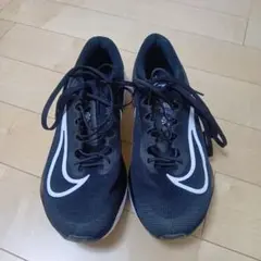 Item thumbnail for item de48978f-9f13-4503-b2ca-18d868cc7629