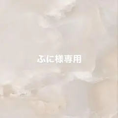 【ぷに様専用】ネイルチップ