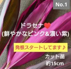 haruhika様 リクエスト 3点 まとめ商品