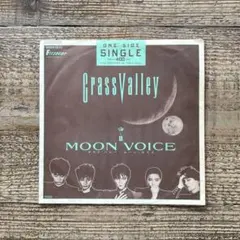 【新品未開封】んoon『Freeway』『Body』 LP 2枚セット んoon / Body | motion records