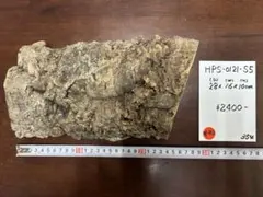 Item thumbnail for item 091e7b0c-a7fa-4685-97cc-b1c01c991c5f