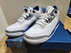 Jordan 3トゥルーブルー