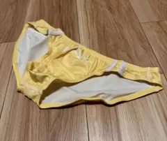 Item thumbnail for item 5a3bffb2-a8c5-439a-9328-783ea37028f8