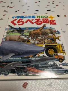 Item thumbnail for item da6904e6-28bc-45de-82d9-53248c3fc997