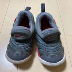 NIKE ナイキ ダイナモフリー　14センチ　グレー