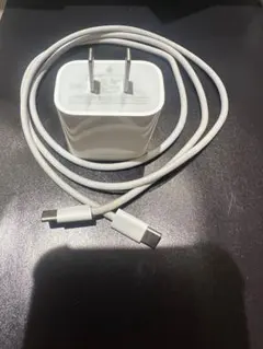 純正品 Apple 20W USB-C充電器と編み込み式ケーブルセット