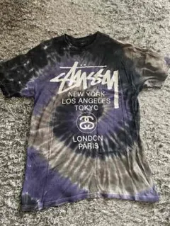 STUSSY ステューシー Tシャツ