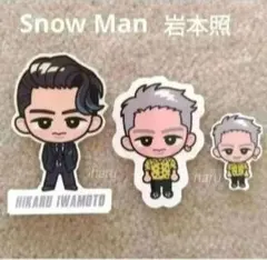 Snow Man 岩本照 すのチルステッカー CD購入初回特典シール 3枚 ②⑦