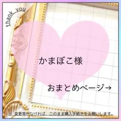 かまぼこ君様 リクエスト 3点 まとめ商品