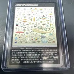 Army of Mushrooms MMKTC* 041 C カード