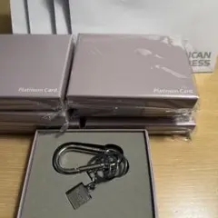 AMEX キーホルダー プラチナカード 非売品