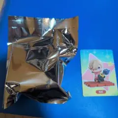 る*る様 林尼 リネ　童夢奇珍シリーズ　　トレーディングちびキャラフィギュア