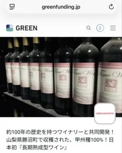 2006 タイムワイン 甲州種100% 白ワインのサムネイル