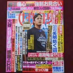 Item thumbnail for item 7ec7ecda-2042-4576-9d40-2eaa31ef295b