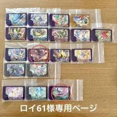 ポケモンフレンダ　ロイ61様専用