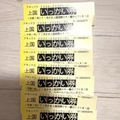2025年最新】上越国際スキー場 リフト券の人気アイテム - メルカリ